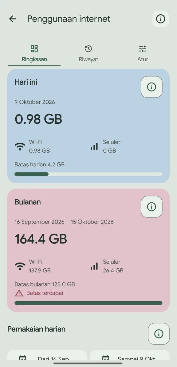 Tampilan aplikasi Ramu: Penggunaan internet